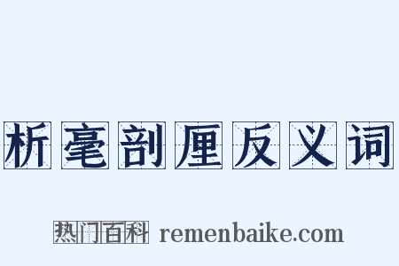 析毫剖厘反义词是什么意思的图片